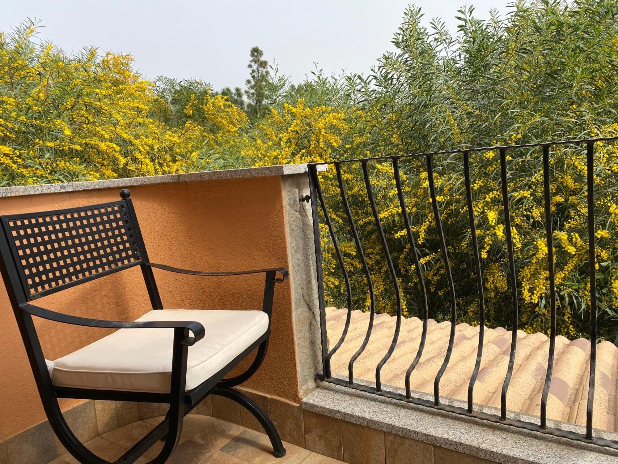הוילה דומוס דה מריה Residenza I Ginepri מראה חיצוני תמונה