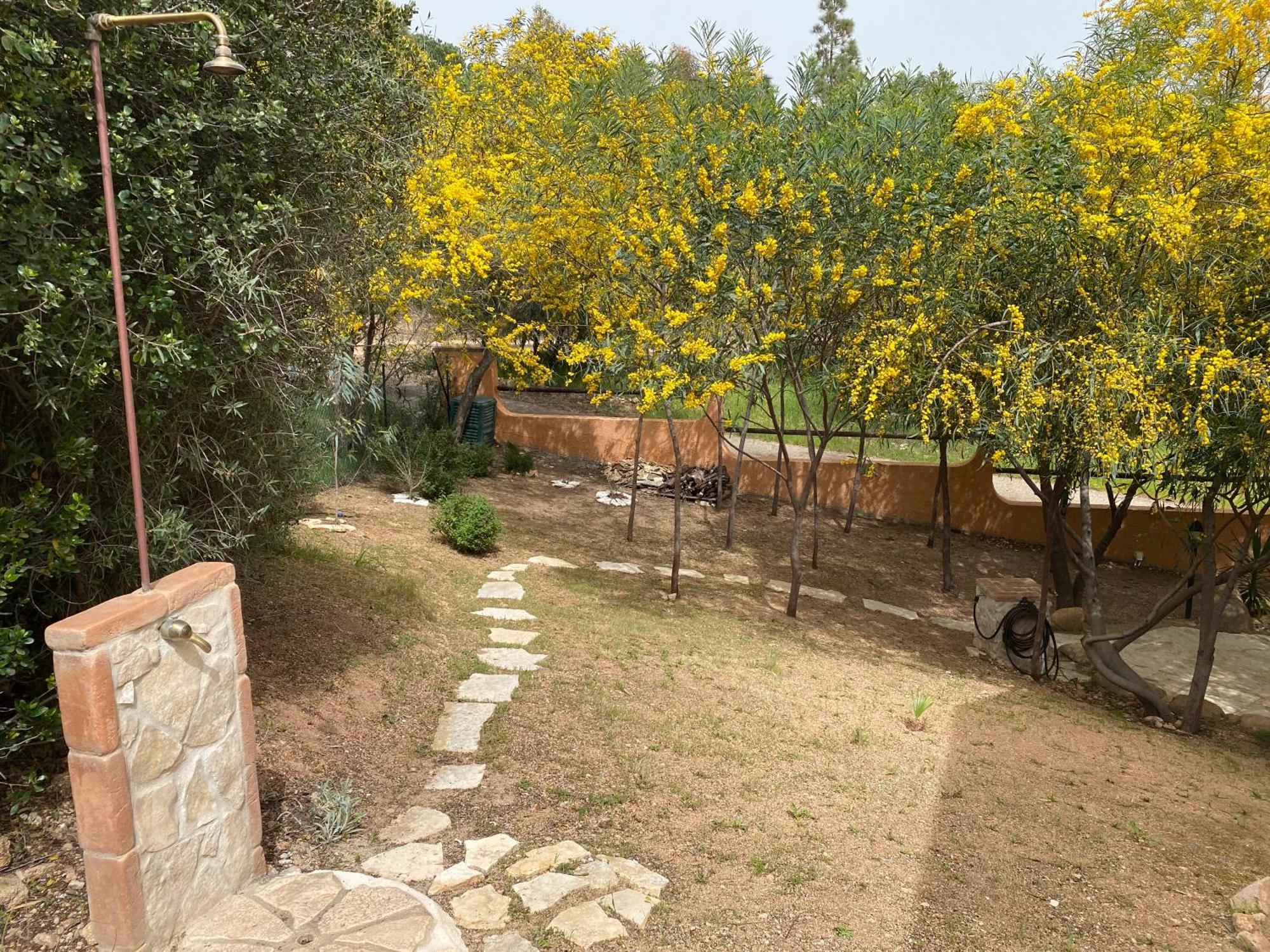 הוילה דומוס דה מריה Residenza I Ginepri מראה חיצוני תמונה