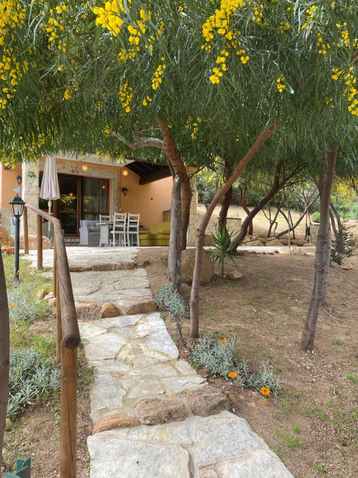 הוילה דומוס דה מריה Residenza I Ginepri מראה חיצוני תמונה